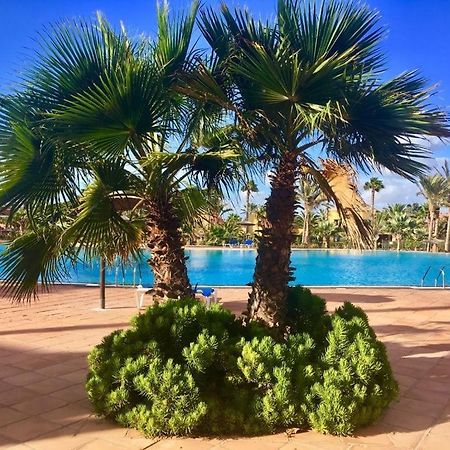 Fuerteventura Apartments コラレホ エクステリア 写真