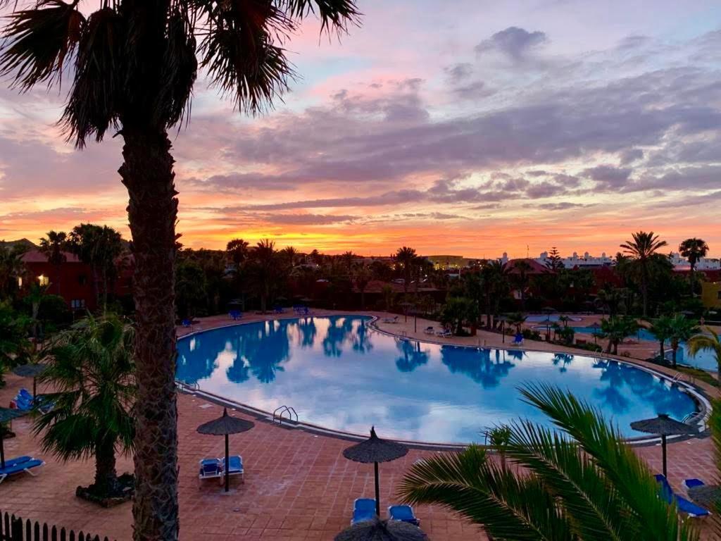 Fuerteventura Apartments コラレホ エクステリア 写真