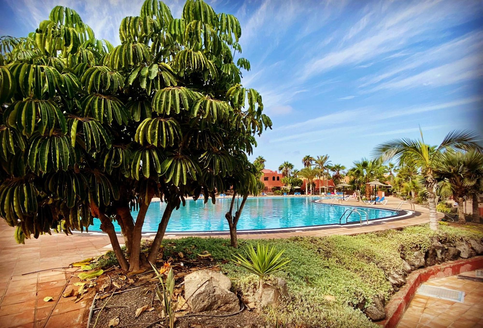 Fuerteventura Apartments コラレホ エクステリア 写真