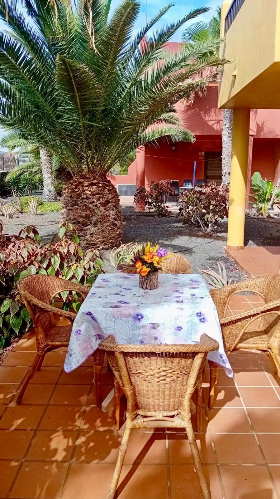 Fuerteventura Apartments コラレホ エクステリア 写真